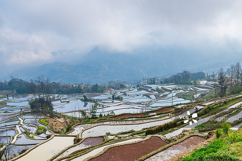 哈尼梯田图片素材