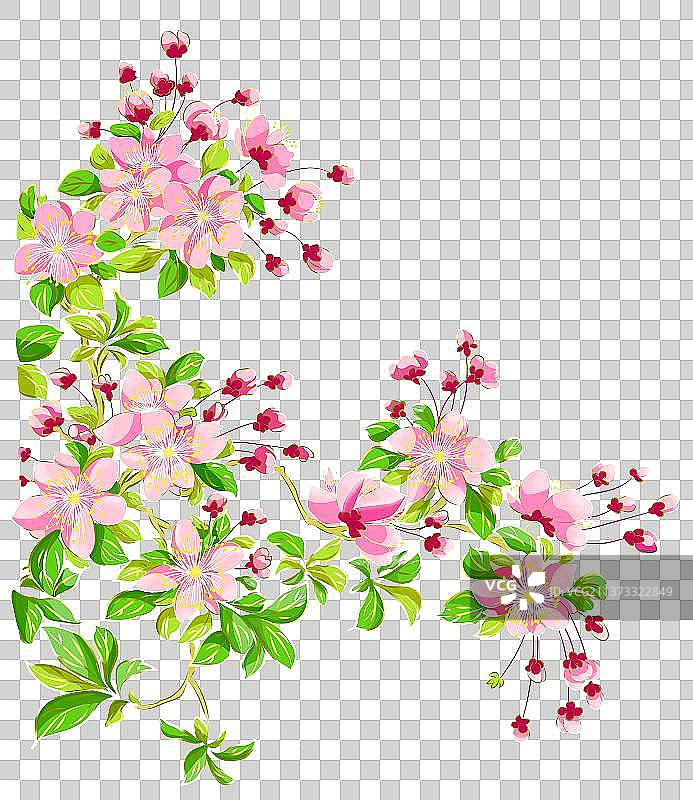 海棠花  春天 粉色 花枝  桃花 樱花  花瓣 花簇图片素材