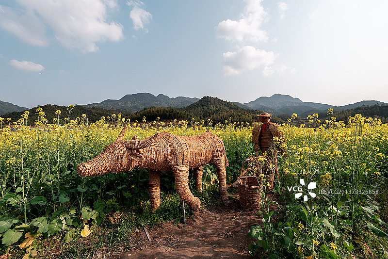 油菜花和稻草人图片素材