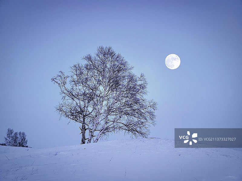 一个月亮爬上来图片素材