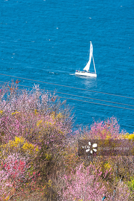 春天的帆船图片素材