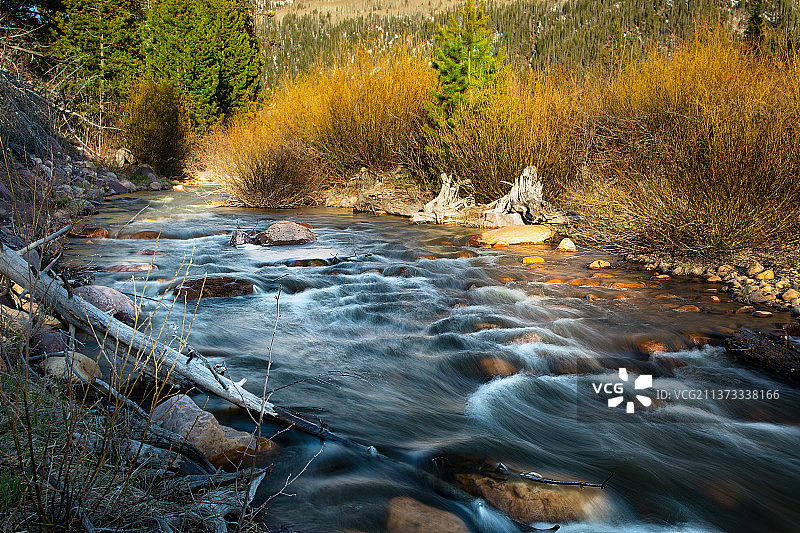 森林中流过岩石的小溪的风景图片素材