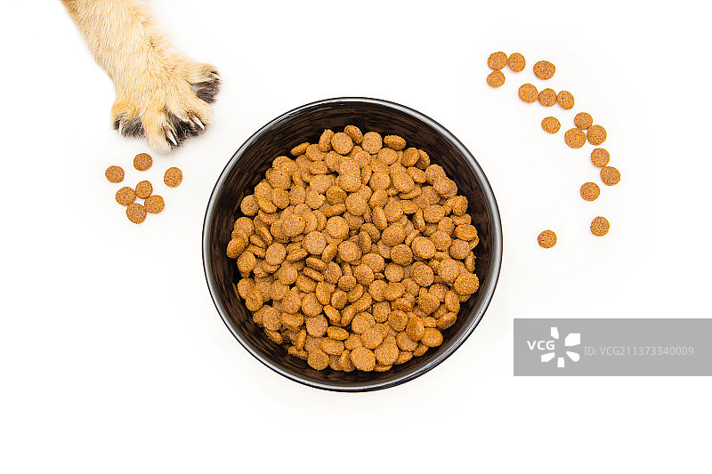 白色背景上的黑色猫粮碗图片素材