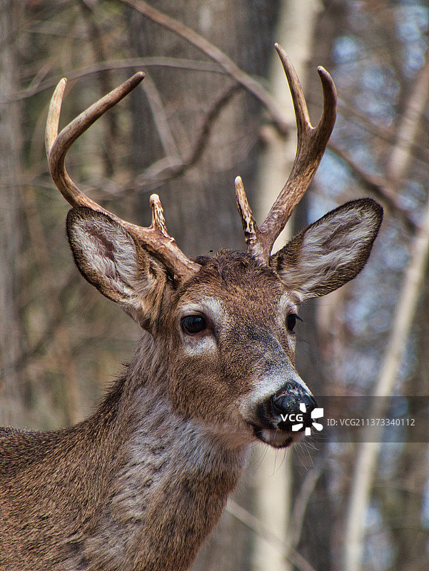 白色特写图片素材
