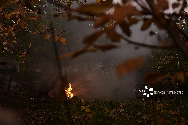 花园里的火焰，亚美尼亚秋季森林中的树木图片素材