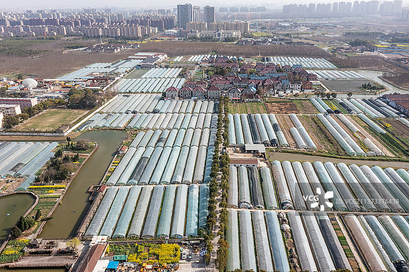 航拍上海宝山刘行农田大棚鸟瞰图图片素材