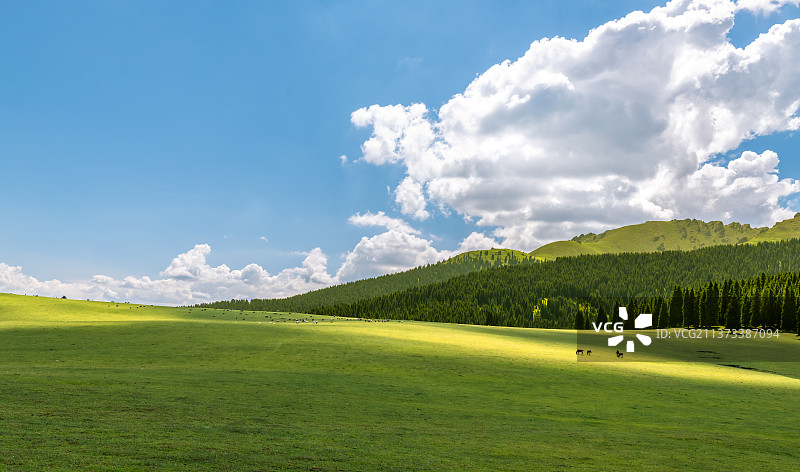 新疆江布拉克草原图片素材