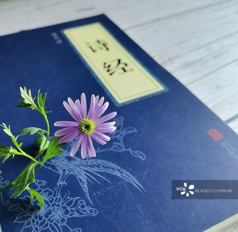 诗经.小雅图片素材