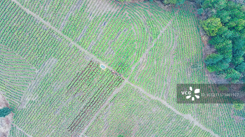 农业领域的高角度视角图片素材