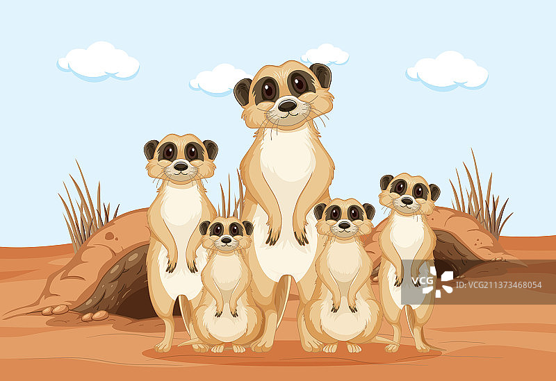 可爱的狐獴群，南部非洲动物图片素材