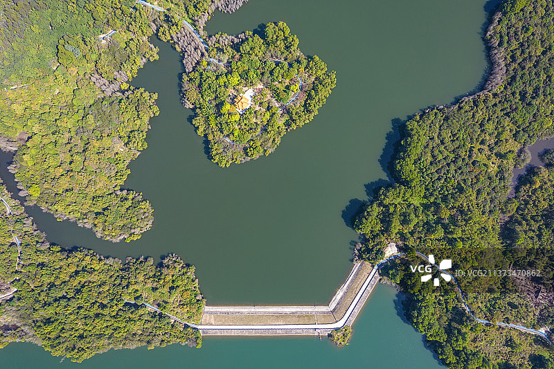 深圳坪山区大山陂水库 深圳坪山区大山陂公园图片素材