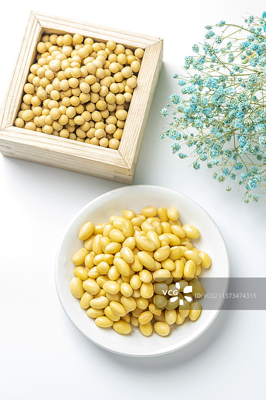 水泡黄豆特写图片素材