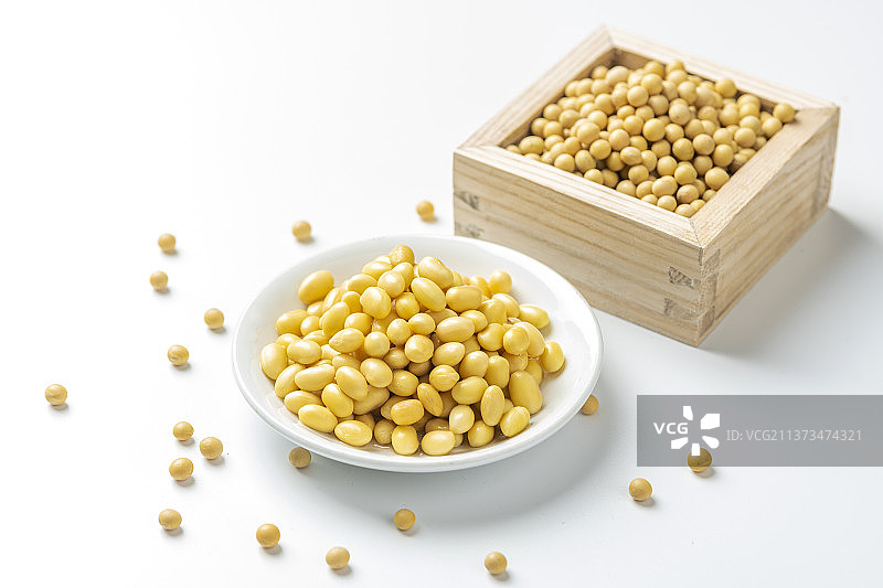 水泡黄豆特写图片素材