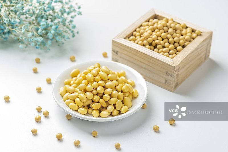 水泡黄豆特写图片素材