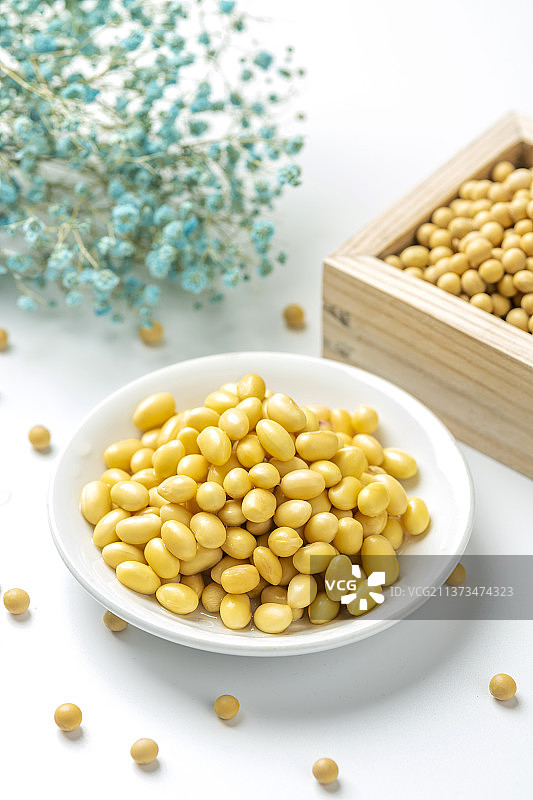 水泡黄豆特写图片素材