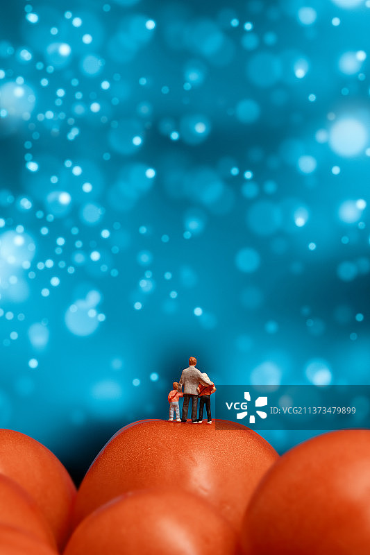 西红柿上看星空的爸爸和小朋友图片素材