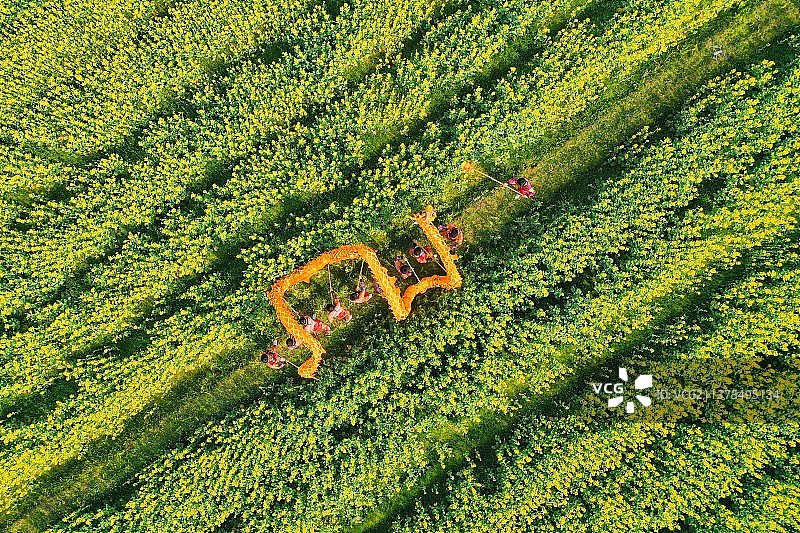 2022年3月10日，小伙子们在江西省宜春市上高县镇渡乡苑新村的油菜花海中舞龙。图片素材