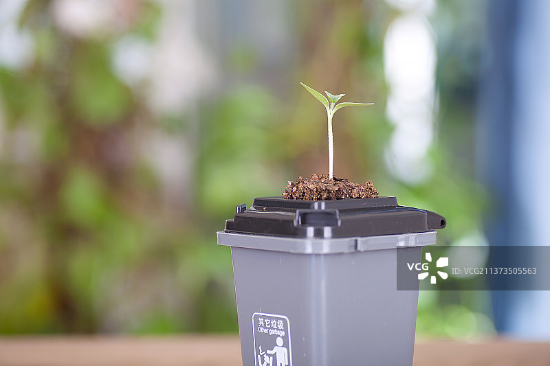 灰色盛放其它垃圾的垃圾桶盖子上长出一颗嫩芽图片素材