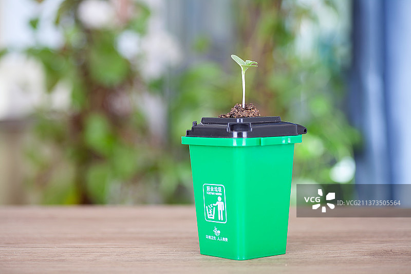 绿色盛放厨余垃圾的垃圾桶盖子上长出一颗嫩芽图片素材