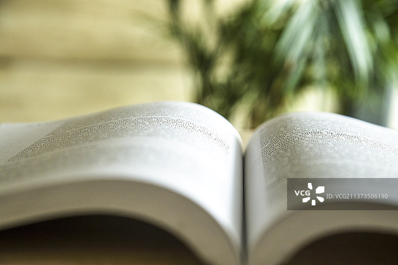 一本打开的书图片素材