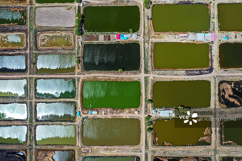池塘+内蒙古呼和浩特市土默特左旗哈素海图片素材