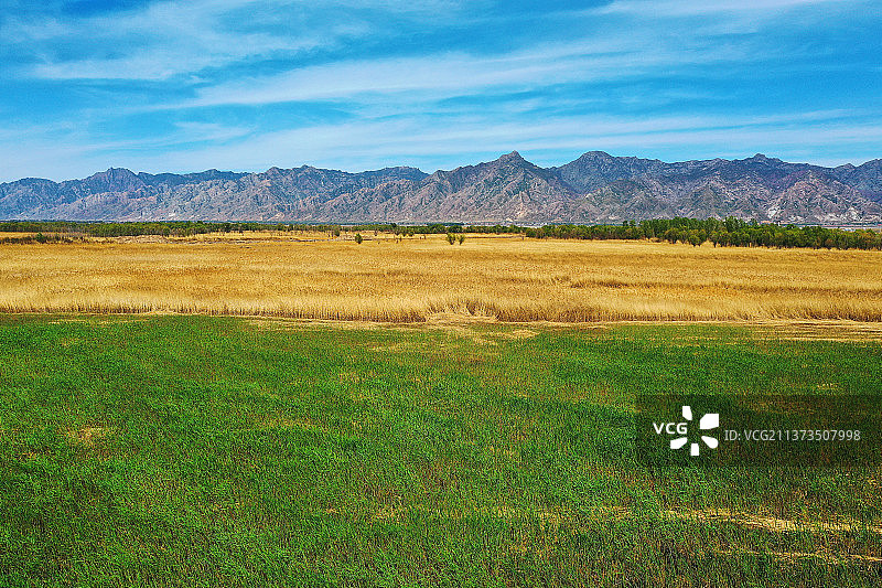 野草茫茫+内蒙古呼和浩特市土默特左旗敕勒川图片素材