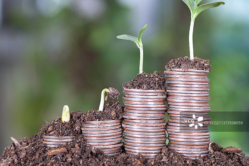 美元硬币上的土壤里长出嫩芽图片素材