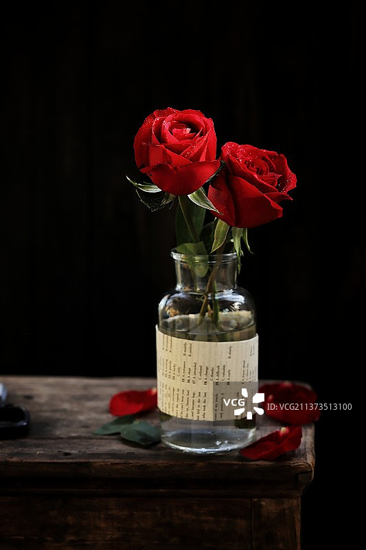 玫瑰花图片素材