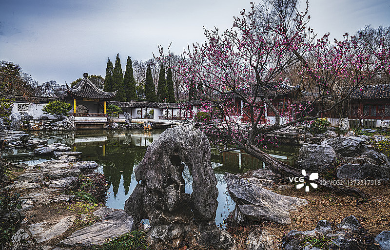 山水含春图片素材