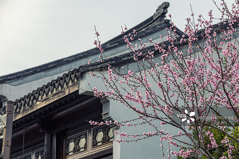 苏州园区斜塘老街的春天图片素材