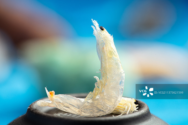 海鲜调味品干虾皮图片素材