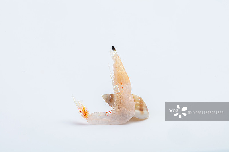 海鲜调味品干虾皮图片素材