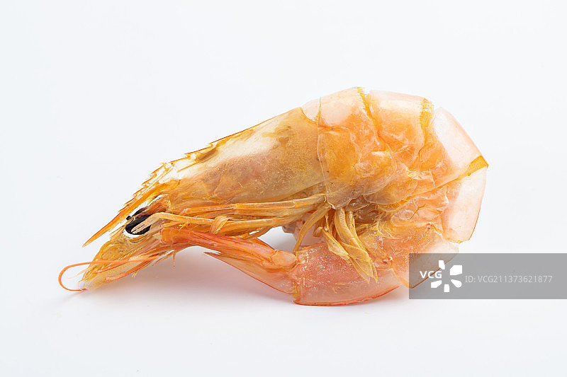 晾晒调味海产品虾干图片素材