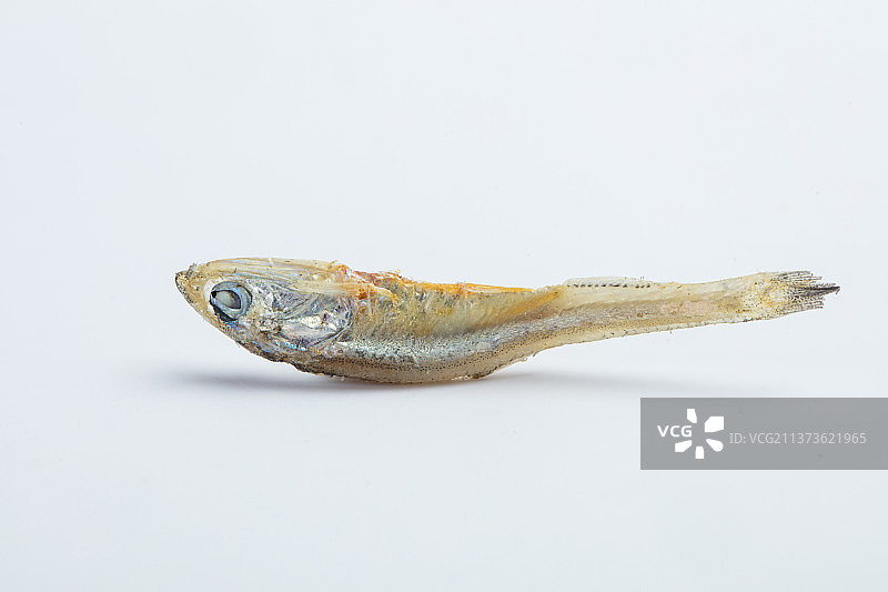 海鲜调味品小鱼干图片素材