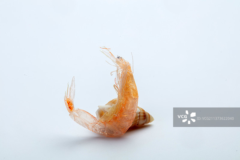 海鲜调味品干虾皮图片素材