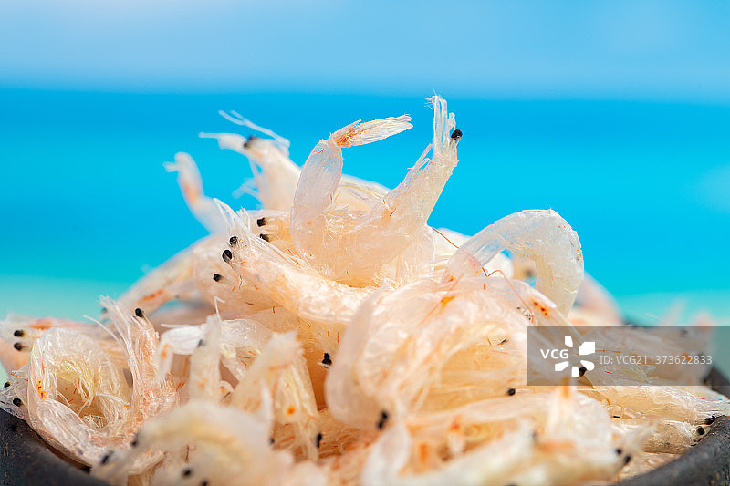 海鲜调味品干虾皮图片素材