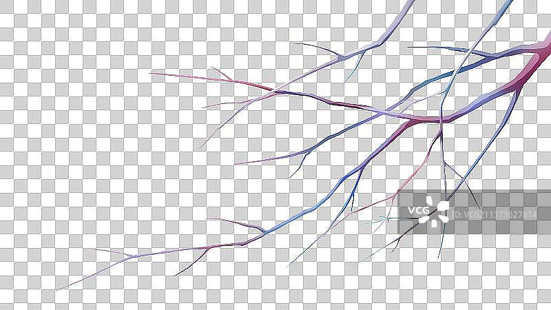 树枝，枯枝，卡通免扣素材图片素材