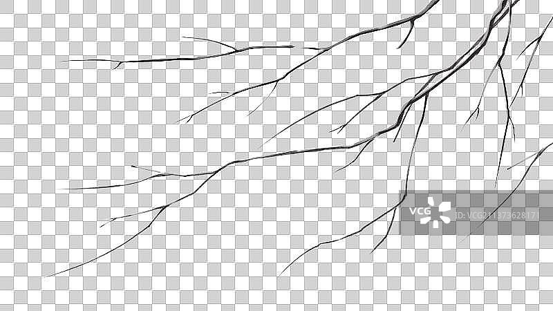 树枝，枯枝，卡通免扣素材图片素材