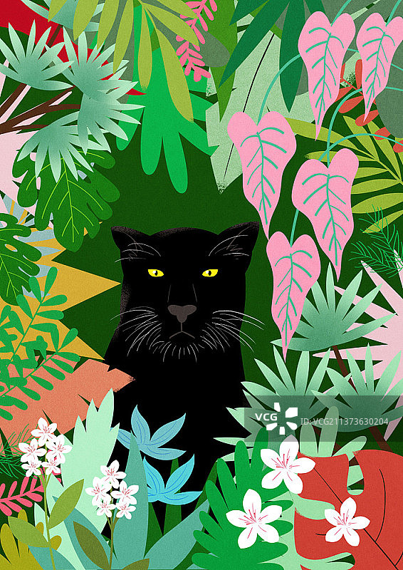热带植物森林中的黑色豹子插画图片素材