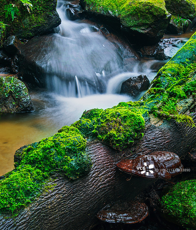 福建三明永安天宝岩国家自然保护区图片素材