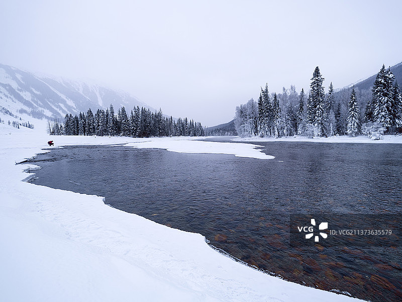 冰雪喀纳斯鸭泽湖图片素材