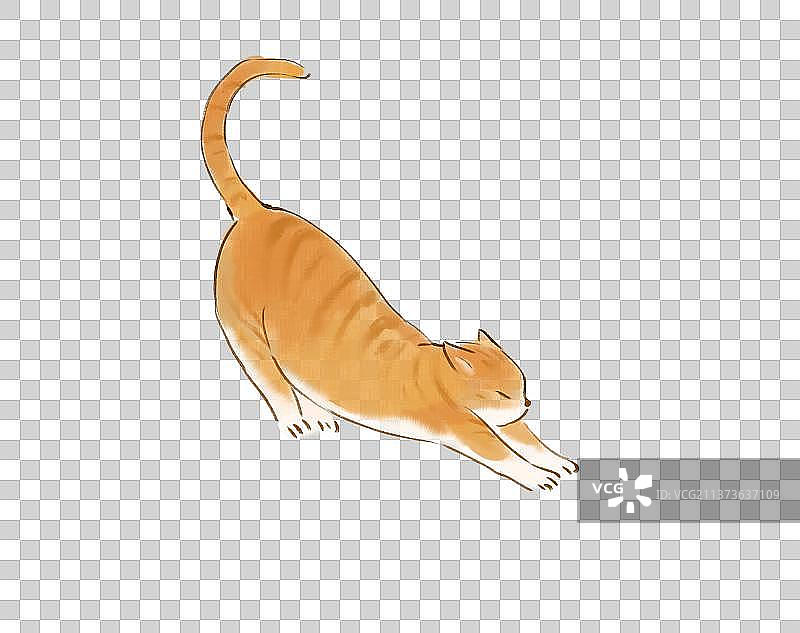 猫咪伸懒腰插画图片素材