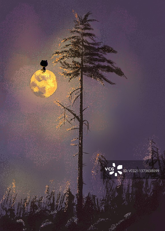 月夜下的猫插画图片素材