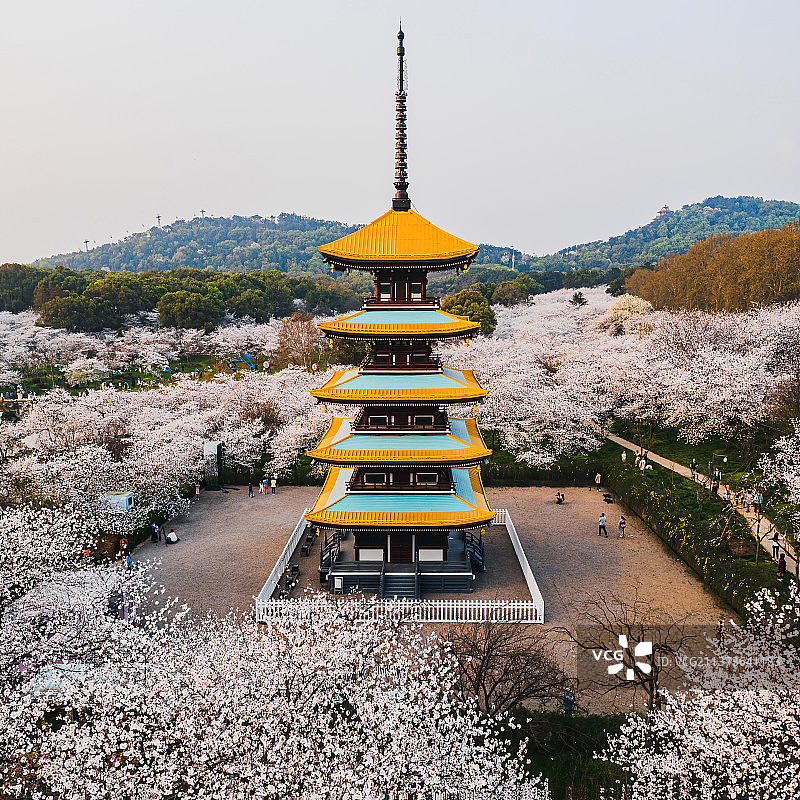 武汉樱花园五重塔图片素材