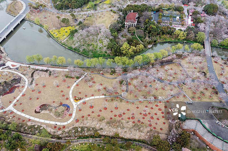 上海顾村公园图片素材