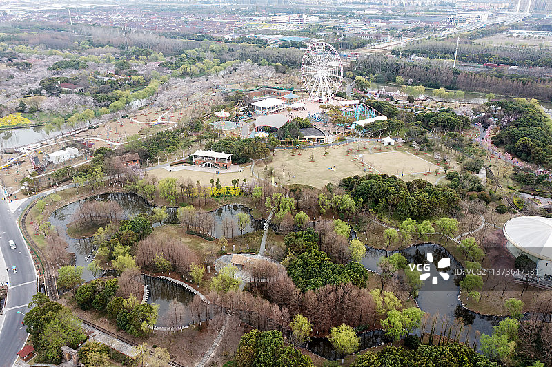 上海顾村公园摩天轮图片素材