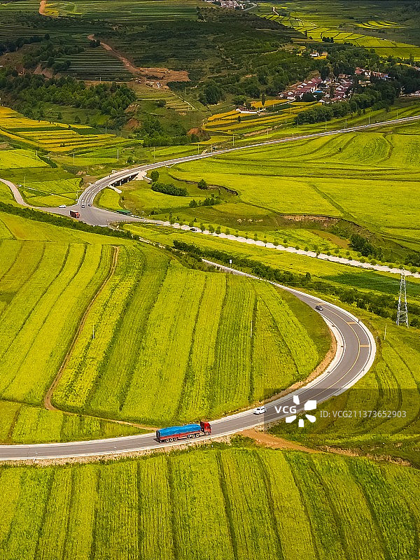 黄土高原上的油菜花图片素材
