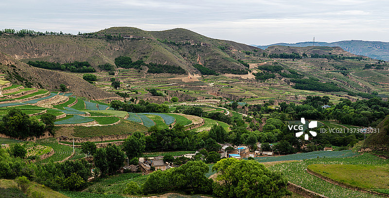 黄土地上披锦绣图片素材