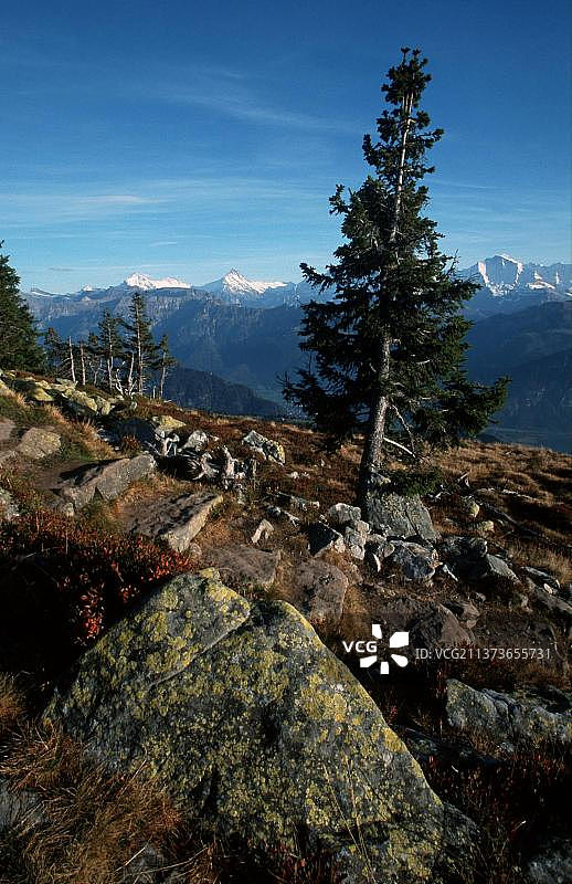 瑞士阿尔卑斯山尼德宏峰风光图片素材