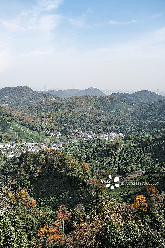 杭州西湖十里琅珰茶园图片素材